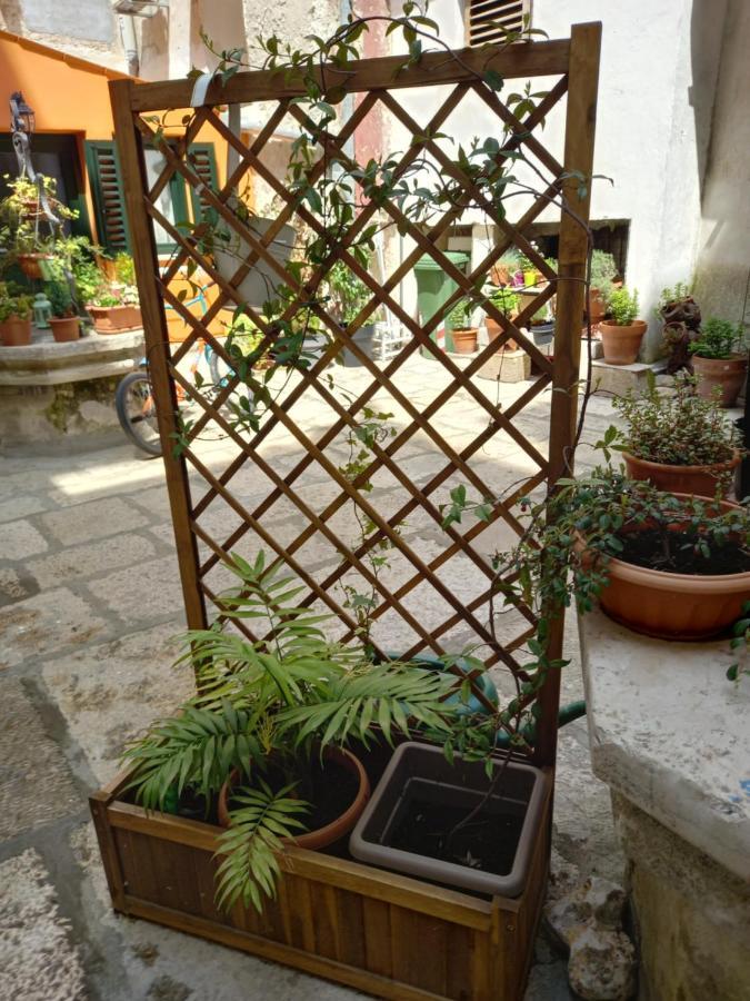 Bunari Studio Apartment Rovinj Buitenkant foto